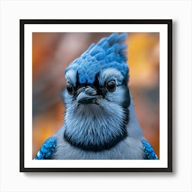 Blue Jay 3 Art Print