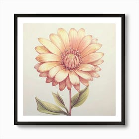 Dahlia 1 Art Print