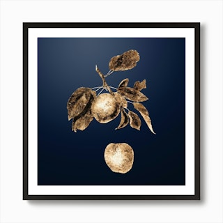 Gold Botanical Peach on Dusk Blue n.2850 Art Print by holyrockarts