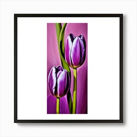 Purple Tulips Art Print