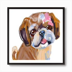 Shih Tzu 02 Art Print