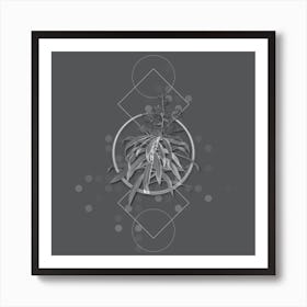 Vintage Pleomele Botanical with Line Motif and Dot Pattern in Ghost Gray Art Print