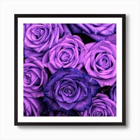 Purple Roses Art Print