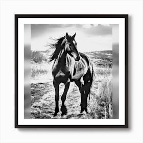 Black And White Horse Art Print