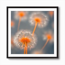 Dandelion 3 Art Print