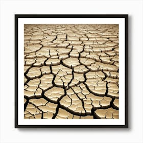 Dry Land 3 Art Print