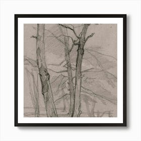 Two Trees In The Woods Art Print