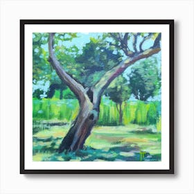 Tree In The Park Art Print