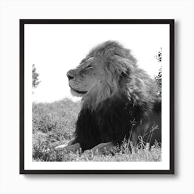 Born Free Art Print