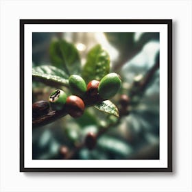 Green Coffee Beans Art Print