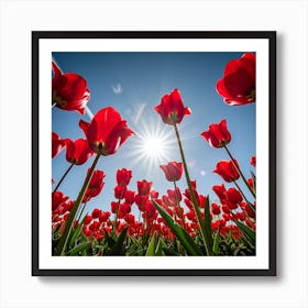 Vibrant red tulips reach towards the bright sun under a clear blue sky Art Print