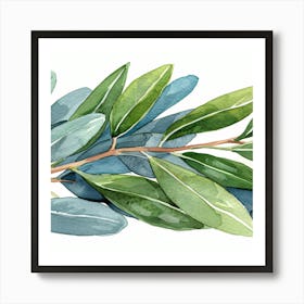 Olive Branch Watercolor Painting 2 Art Print