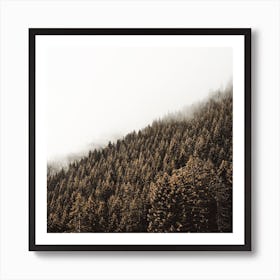 Thick Forest Landscape Square Art Print