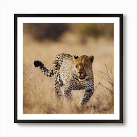 Leopard - Leopard Stock Videos & Royalty-Free Footage Art Print