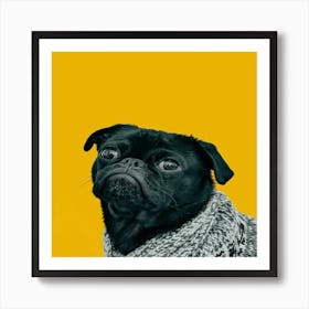 Black Pug On Yellow Background Art Print