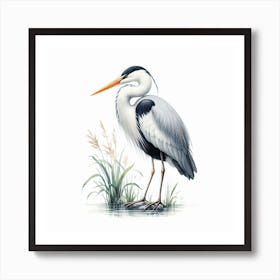 Heron Art Print