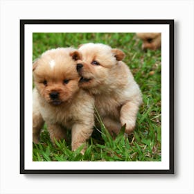 Chihuahua Puppies Art Print