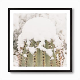 Snowy Saguaro Arm Art Print