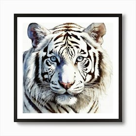 White Tiger Watercolor Art Print