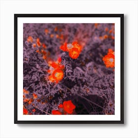 Purple and Mallow Art Print