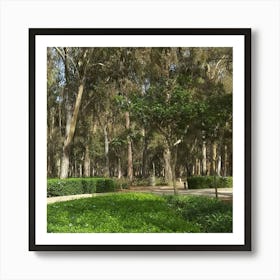 Walk In The Park Art Print