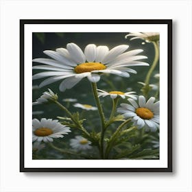 Daisies 3 Art Print