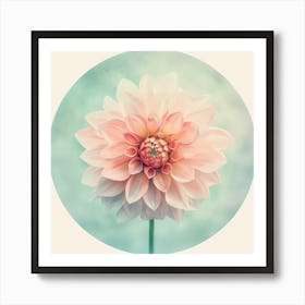 Dahlia 1 Art Print