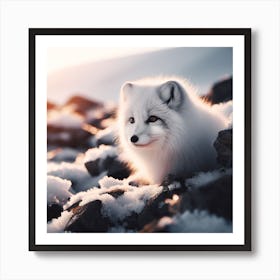 Arctic Fox 2 Art Print