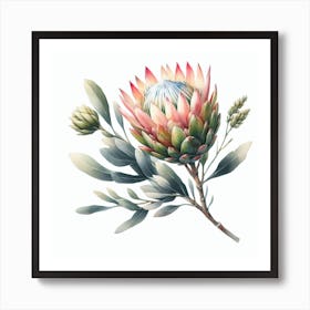 Protea 7 Art Print