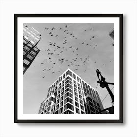 Birds In The Sky In New York Art Print