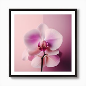 Flower of Orchid 3 Art Print