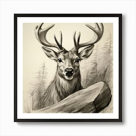 Deer With Antlers 7 Art Print