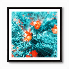 Blue and Mallow Art Print