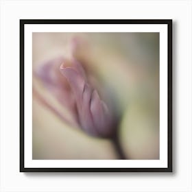 A Close Up Of A Delicate Wood Bud Just Beginning To Bloom, With Soft Petals And Hints Of Vibrant Col Art Print