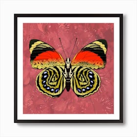 Mechanical Butterfly The Agrias Amydon Tryphon F On A Pink Background Art Print