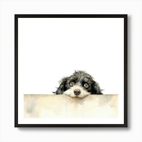 Poodle Peeking Over The Wall Art Print