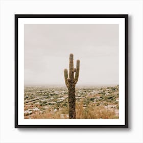 Cactus Over Phoenix Square Art Print