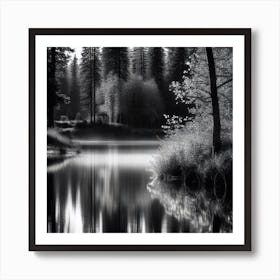 Black And White Forest 1 Art Print