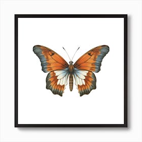 Butterfly 3 Art Print