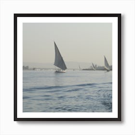 Sailboats On The Nile Art Print