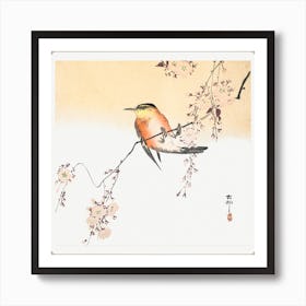 Songbird And Blossoming Cherry (Ca Art Print