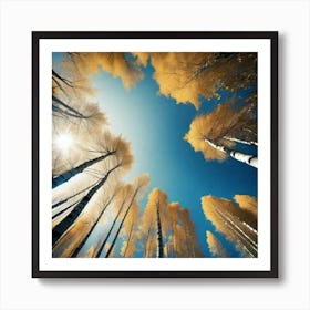 Birch Trees 43 Art Print