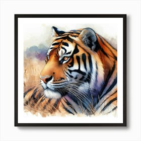 Tiger Watercolor Painting Art Print