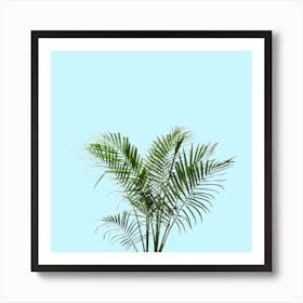 Palm Plant on Pastel Blue Wall Art Print