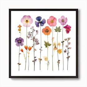 Dried Wild Flowers 27 Art Print