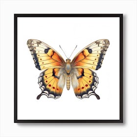 Butterfly 7 Art Print