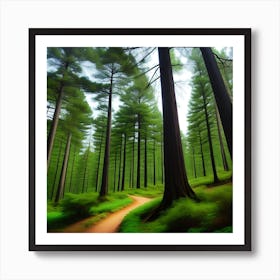 Forest Path Art Print