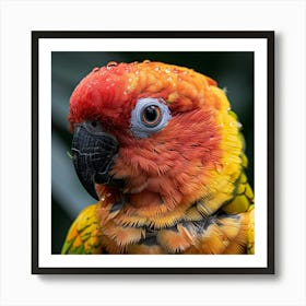 Parrot 5 Art Print