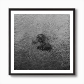 Bike In The Canal, Black And White St Sebastian, Spain Square Art Print