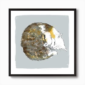 Cat Sleeping Square Art Print